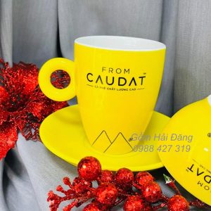 ly su cau dat
